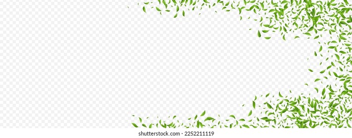 Papel de fondo transparente Panorámico del vector del árbol de follaje del pantano. Patrón Swirl Greens. Lime Deja El Concepto De Primavera. Rama de la Naturaleza de la Hoja.