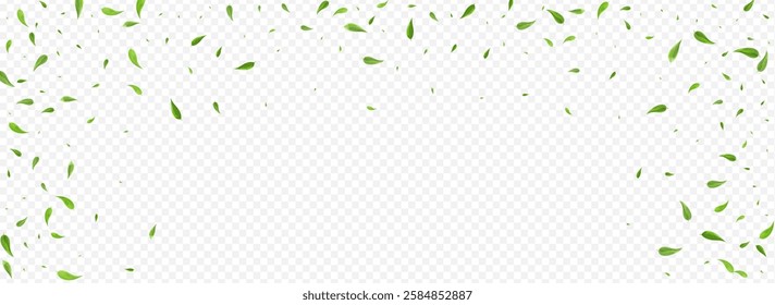 Swamp Foliage Tree Vector Panoramic Transparent Background Brochure. Swirl Greens Design. Mint Leaves Ecology Banner. Leaf Wind Illustration.