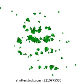 Swamp Foliage Tree Vector White Background Wallpaper. Abstract Greens Banner. Mint Leaf Spring Template. Leaves Flying Illustration.