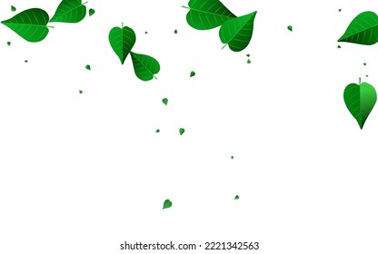 Swamp Foliage Tree Vector White Background Pattern. Forest Leaves Design. Lime Greens Nature Backdrop. Leaf Falling Template.