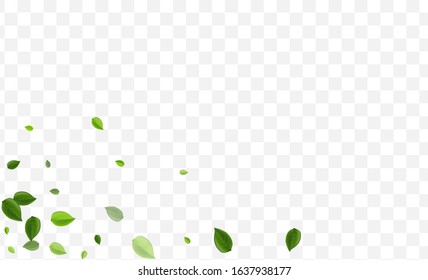 Swamp Foliage Vector Illustration. Lime Leaves Nature Banner. Organic Backdrop. Forest Greens Realistic Pattern.