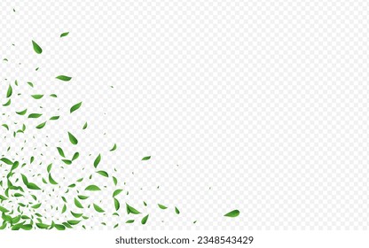 Swamp Foliage Wind Vector Transparent Background Illustration. Tree Leaves Branch. Forest Greens Flying Pattern. Leaf Falling Plant.