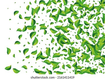 Swamp Foliage Wind Vector White Background. Realistic Leaves Backdrop. Green Greens Tree Brochure. Leaf Organic Branch.