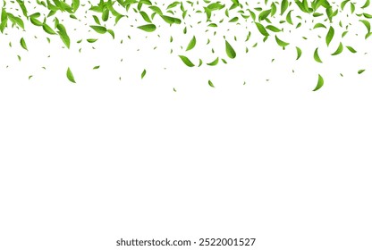 Swamp Foliage Wind Vector White Background Border. Fresh Leaf Backdrop. Green Leaves Abstract Illustration. Greens Organic Plant.