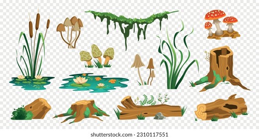 Swamp forest color set of isolated icons with wooden trunks stubs mushrooms moss and water plants vector illustration