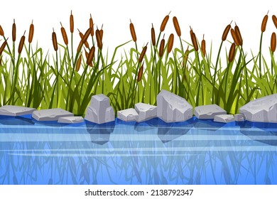 Swamp grass illustration, vector reed plant, river bank, gray stone, pond cattail shrub, lake bush. Landscape floral background, green blades, leaf vegetation. Swamp lake grass, reflection, rocks