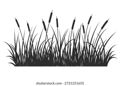 Ilustración vectorial de caña de hierba de pantano aislada sobre fondo blanco. Pantano de río y lago de alta matorral. Silueta de arbustos salvajes. Naturaleza costera de verano con matorral de plantas acuáticas