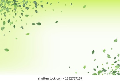 Concepto de fondo verde de vectores voladores de vegetación de pantano. La Naturaleza deja pancarta. Plantilla de movimiento de flotación forestal. Papel tapiz de la Ecología de Hojas.