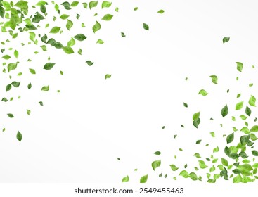Swamp Greenery Fresh Vector White Background Wallpaper. Swirl Foliage Pattern. Olive Leaf Blur Border. Leaves Organic Brochure.