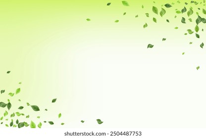 Swamp Greenery Realistic Vector Green Background Design. Organic Leaves Backdrop. Green Leaf Blur Pattern. Foliage Falling Wallpaper.