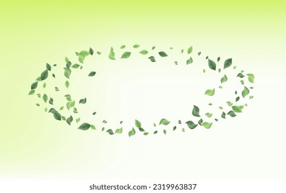 Swamp Greenery Wind Vector Green Background Concept. Swirl Leaves Plant. Green Leaf Nature Illustration. Foliage Spring Design.