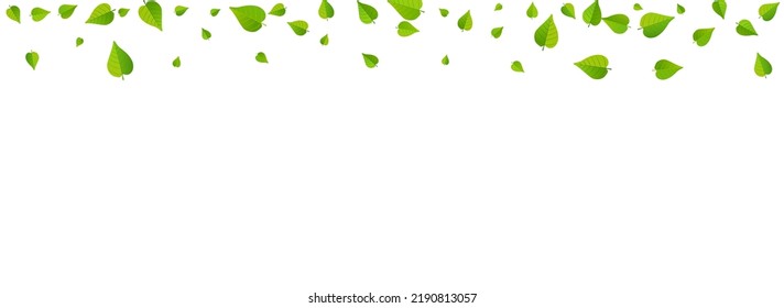 Swamp Greens Blur Vector Panoramic White Background Pattern. Spring Leaves Plant. Lime Foliage Motion Design. Leaf Falling Wallpaper.