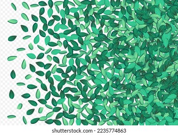 Swamp Greens Ecology Vector Transparent Background Backdrop. Motion Leaf Template. Lime Leaves Fly Background. Foliage Wind Concept.