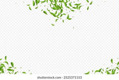 Planta de fundo transparente do vetor da ecologia dos verdes do pântano. Abstrato Deixa O Design. Modelo Voador de Folhas da Floresta. Foliage Tea Branch.
