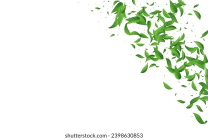 Swamp Greens Ecology Vector White Background Poster. Realistic Foliage Illustration. Green Leaves Wind Brochure. Leaf Abstract Pattern.