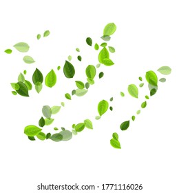 Swamp Greens Falling Vector Backdrop. Flying Foliage Poster. Green Leaves Swirl Wallpaper. Leaf Nature Template.