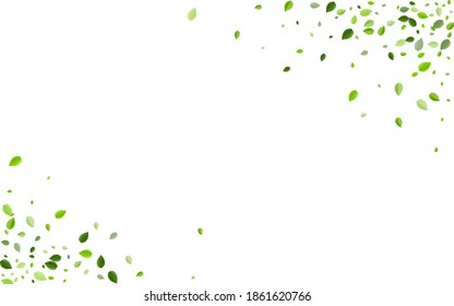 Sumpf Greens Falling Vectordesign. Waldleaf-Banner. Hintergrund des Waldblattes. Blätter Baumhintergrund.