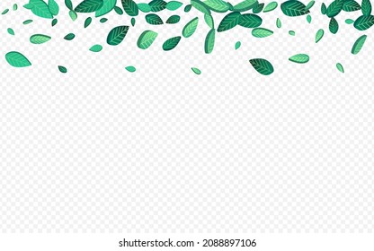 Swamp Greens Falling Vector Transparent Background Background. Herbal Foliage Backdrop. Lime Leaf Fly Wallpaper. Leaves Fresh Concept.