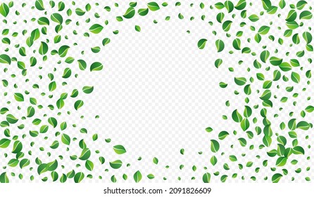 Swamp Greens Falling Vector Transparent Background. Spring Leaf Plant. Olive Leaves Blur Design. Foliage Swirl Branch.