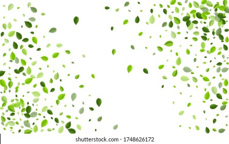 Swamp Greens Falling Vector Wallpaper. Transparent Leaves Brochure. Mint Leaf Wind Poster. Foliage Swirl Background.