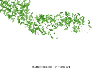 Swamp Greens Falling Vector White Background Template. Tree Leaves Illustration. Grassy Leaf Realistic Pattern. Foliage Transparent Concept.