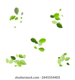 Swamp Greens Fly Vector Illustration. Wind Foliage Plant. Forest Leaves Tree Pattern. Leaf Ecology Background.