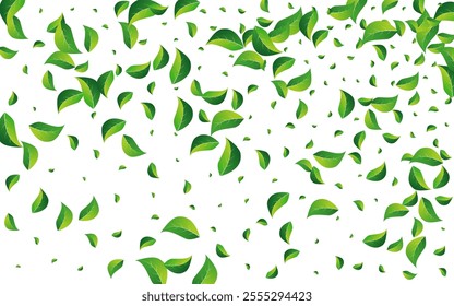 Swamp Greens Fly Vector White Background. Tea Foliage Illustration. Grassy Leaf Ecology Branch. Leaves Nature Pattern.