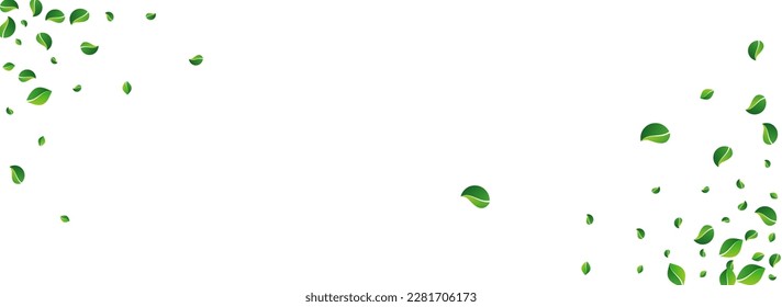 Swamp Greens Flying Vector Panoramic White Background. Motion Foliage Poster. Lime Leaves Fresh Design. Leaf Organic Concept.