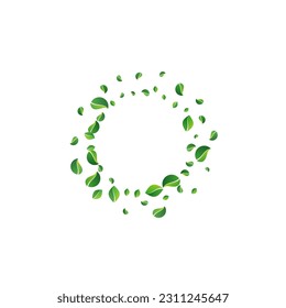 Fondo blanco del vector volador del pantano de los verdes. Afiche de hoja realista. Grassy deja papel tapiz que cae. Patrón de movimiento de flotación.