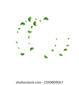Swamp Greens Forest Vector White Background. Swirl Leaves Plant. Green Foliage Ecology Banner. Leaf Fresh Illustration.
