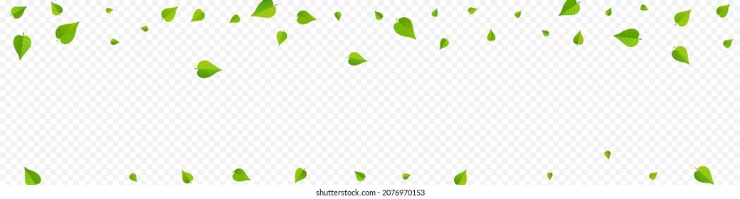 Swamp Greens Fresh Vector Panoramic Transparent Background Wallpaper. Wind Foliage Illustration. Green Leaf Realistic Border. Leaves Tea Plant.