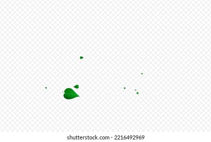 Swamp Greens Fresh Vector Transparent Background Backdrop. Transparent Leaves Border. Olive Leaf Swirl Banner. Foliage Wind Brochure.
