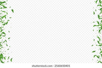 Swamp Greens Fresh Vector Transparent Background Border. Blur Foliage Wallpaper. Mint Leaves Motion Poster. Leaf Herbal Pattern.