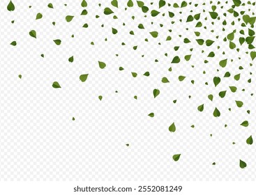 Swamp Greens Herbal Vector Transparent Background Wallpaper. Fresh Foliage Backdrop. Green Leaves Transparent Template. Leaf Falling Banner.