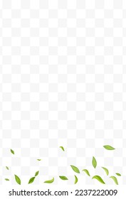 Swamp Greens Motion Vector Transparent Background Design. Organic Foliage Template. Grassy Leaf Fresh Poster. Leaves Tea Branch.
