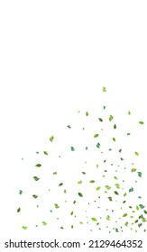 Swamp Greens Motion Vector White Background. Forest Leaves Wallpaper. Olive Foliage Organic Poster. Leaf Nature Backdrop.