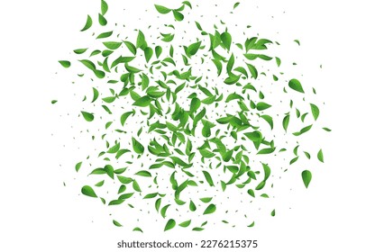 Banner de fondo blanco para el vector de movimiento de los verdes pantanos. Patrón de hoja de viento. Frontera Realista de Foliage Forestal. Sale Del Fondo.