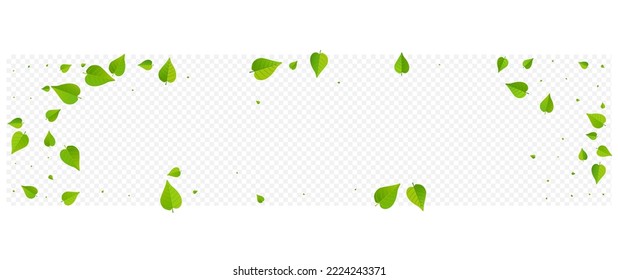 Modelo de fondo transparente de vectores de naturaleza Panorámica de los verdes pantanos. Concepto De Hojas Frescas. Borde de movimiento de flotación de cal. Fondo De Giro De Hojas.