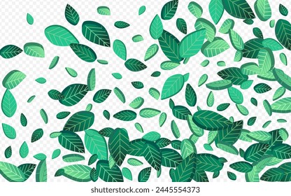 Swamp Greens Nature Vector Transparent Background Pattern. Swirl Foliage Illustration. Forest Leaves Spring Template. Leaf Organic Banner.