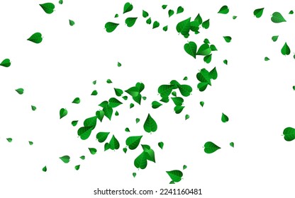 Swamp Greens Organic Vector White Background Branch. Nature Leaves Illustration. Olive Foliage Motion Concept. Leaf Abstract Border.