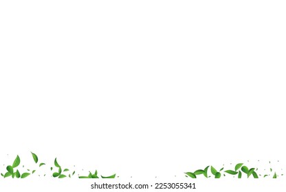 Swamp Greens Organic Vector White Background Concept. Nature Foliage Design. Green Leaves Wind Backdrop. Leaf Forest Wallpaper.