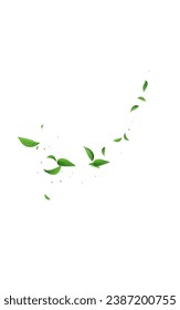 Swamp Greens Organic Vector White Background Template. Nature Foliage Pattern. Forest Leaves Forest Plant. Leaf Blur Brochure.