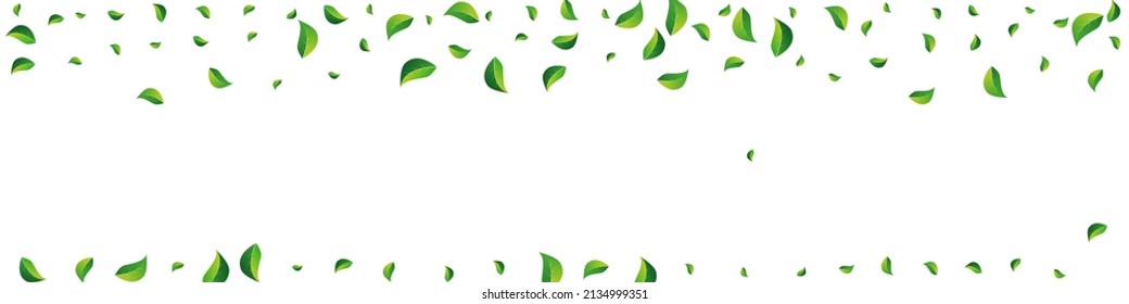 Swamp Greens Realistic Vector Panoramic White Background. Organic Leaf Brochure. Mint Foliage Herbal Poster. Leaves Wind Branch.