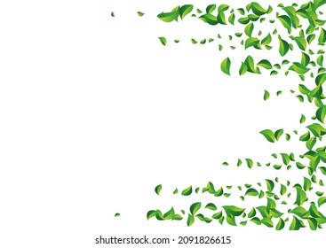 Swamp Greens Realistic Vector White Background. Herbal Leaf Brochure. Forest Leaves Abstract Illustration. Foliage Ecology Wallpaper.