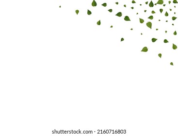 Swamp Greens Realistic Vector White Background Brochure. Swirl Leaf Backdrop. Grassy Leaves Motion Pattern. Foliage Ecology Border.