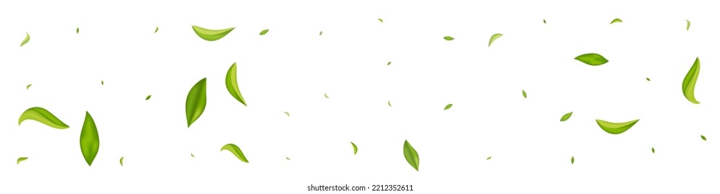 Swamp Greens Realistic Vector White Panoramic Background Design. Falling Leaves Template. Green Foliage Forest Banner. Leaf Motion Wallpaper.