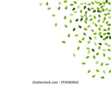 Swamp Greens Spring Vector Backdrop. Blur Leaves Poster. Mint Foliage Forest Design. Leaf Swirl Plant.