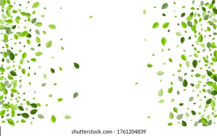 Swamp Greens Spring Vector Template. Ecology Leaves Concept. Mint Leaf Flying Brochure. Foliage Realistic Plant.