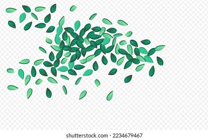 Swamp Greens Spring Vector Transparent Background Pattern. Transparent Foliage Backdrop. Forest Leaves Motion Brochure. Leaf Herbal Branch.