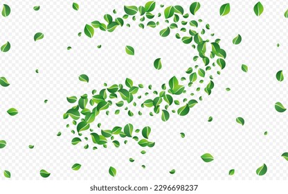 Swamp Greens Spring Vector Transparent Background. Flying Foliage Pattern. Lime Leaves Wind Plant. Leaf Organic Concept.